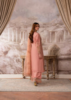 Aik Pret Fasana 2510 Women 3pcs