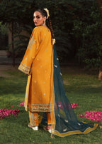 Zarqun 2544 B Women 3pcs