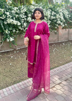 Chaudhary Arts Sofia Embroidered (stitched) Women 3pcs