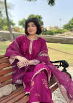 Chaudhary Arts Sofia Embroidered (stitched) Women 3pcs