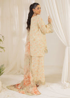 Mohagni LP 12 STITCHED Women 3pcs