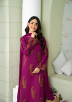 Rosyribbons Amber Stitched Women 3pcs