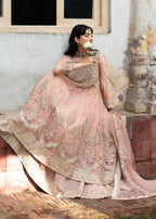 Haseens Official Nurayaa Women 3pcs