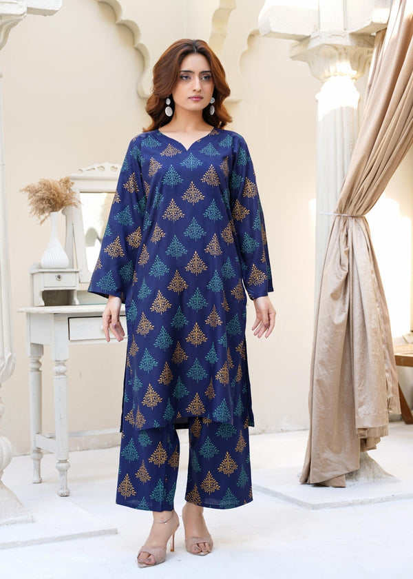 Chaudhary Arts Ethan blue Women 2pcs