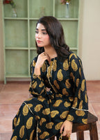 B.K Clothings sitara Women 2pcs