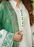 Rungrez Azaadi Ethnic Lawn outfit Women 3pcs