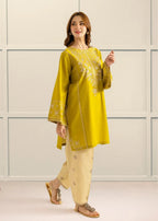 The Turkish Wear Frashia Embroidered Kurta Set Women 2pcs