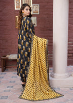 Zeenat & Zoha RANG Women 3pcs