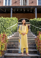 Alnuqat LATIDO Women 3pcs