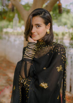 Tabassum Gauhar Ara Begum Women 2pcs