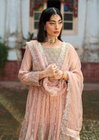 Haseens Official Nurayaa Women 3pcs