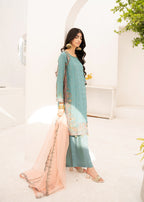 Pehnawa By Bin Akram’s Fusion Luxe | Chiffon Women 3pcs