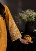 Shehroz Fashion ZAUQ E ZEENAT LAWN EMBROIDERY SUIT Women 2pcs