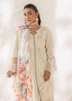 Mohagni ZB 05 STITCHED Women 3pcs