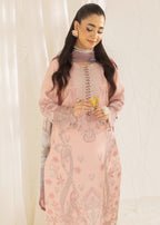 Mohagni ZB 02 STITCHED Women 3pcs