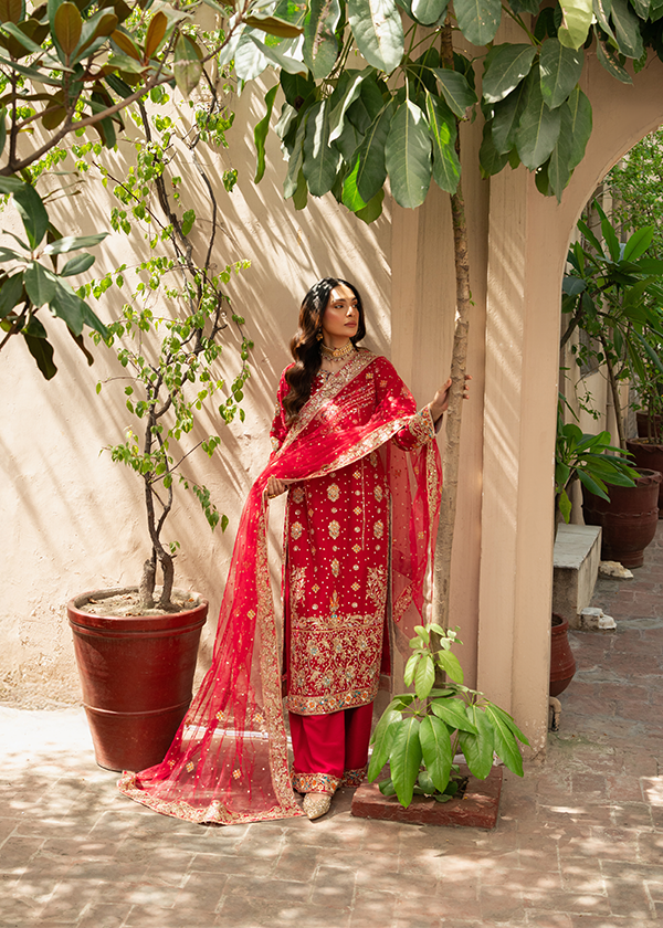 Haseens Official Dilsha Women 3pcs