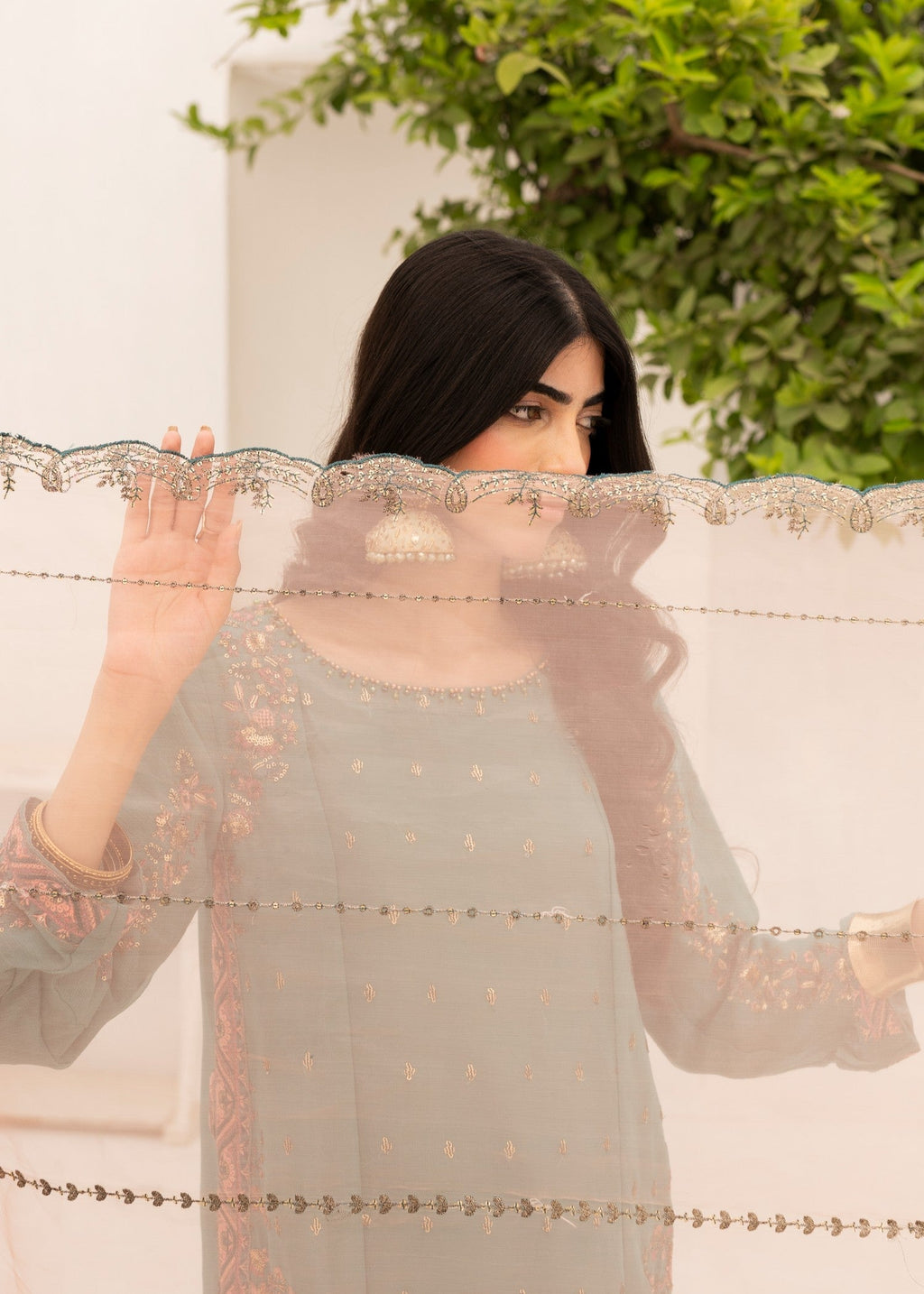 Pehnawa By Bin Akram’s Fusion Luxe | Chiffon Women 3pcs