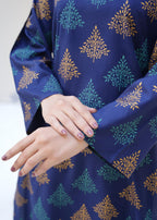 Chaudhary Arts Ethan blue Women 2pcs