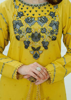 Anabya Garments SHAMSA AG Women 2pcs