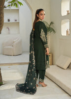 Designer Rack Dhanak embraided green Women 3pcs