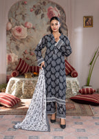 Zeenat & Zoha ZAHRA Women 3pcs