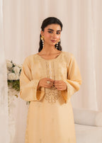 Chaudhary Arts Fajar Embroidered Women 2pcs