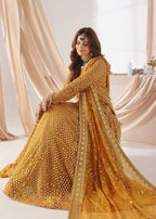 Ayesha Closet MEHJABEEN MUSTRAD Women 3pcs