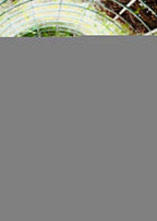 Suits By Sadia MAROON IRON STONE Women 3pcs