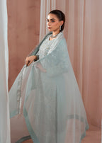 Haseens Official Babeeta Women 3pcs