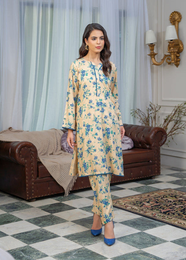 B.K Clothings Clay Mist Women 2pcs