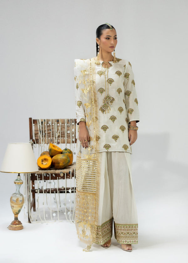 Sara Jahan SJ 1031 Women 3pcs