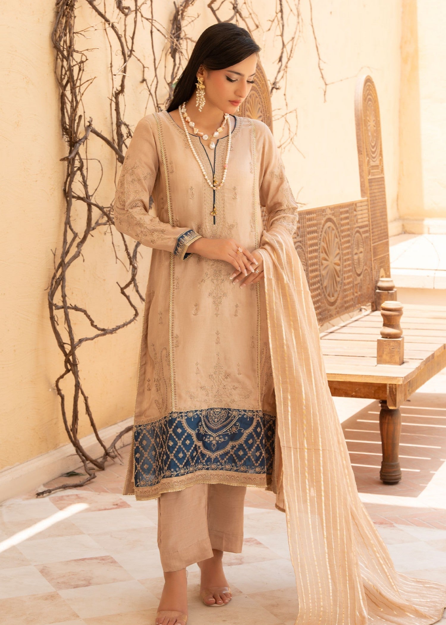 Rang-e-Noor RNF 25 Women 3pcs