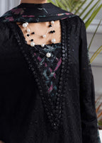 Amber Imran Official Elara Women 2pcs
