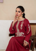Stylish Collection ALISHBA Women 2pcs