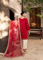 Diara Couture KANEEZ DF 46 RED Women 3pcs
