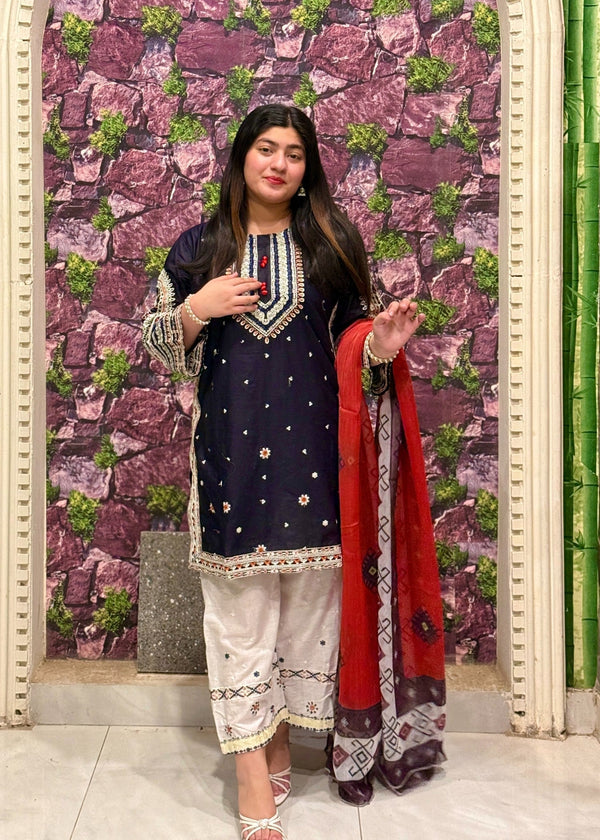 Shefoze Clothing laiba Women 3pcs