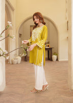 Gulposh Safina (Embroided ) Women 2pcs