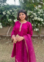 Chaudhary Arts Sofia Embroidered (stitched) Women 3pcs