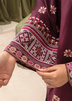 Stylish Collection NAZAKAT EMBROIDERED Women 2pcs