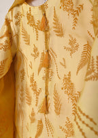 Rehlin RTW 379 | Women’s Organza Women 3pcs