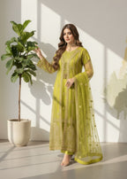 Pehnawa By Bin Akram’s Green Elegance | Net Gown Women 4pcs