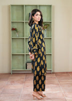 B.K Clothings sitara Women 2pcs