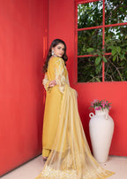 Sajni Fashion 3503 Women 3pcs