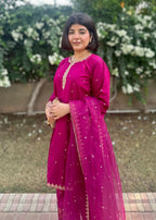 Chaudhary Arts Sofia Embroidered (stitched) Women 3pcs