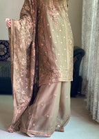 Four Season Boutique ARZOO CHIFFON CHIKKU BROWN Women 3pcs