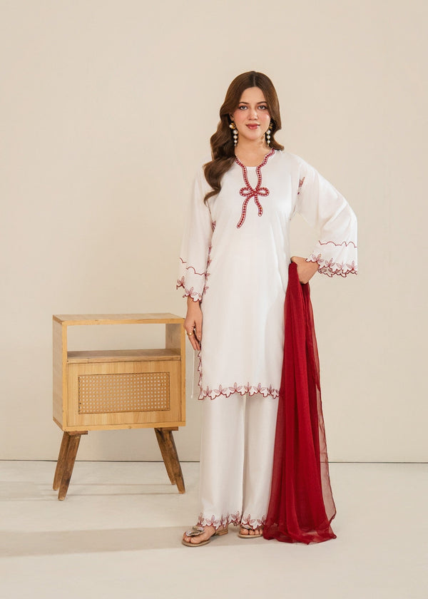 Stylish Collection NAYYAB Women 3pcs