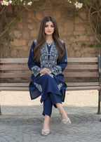 Tehzeeb Libas DESAL EMBROIDERED Women 2pcs