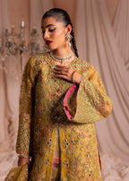 Diara Couture RAISA DF 42 OLIVE Women 4pcs