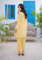 Abeera Soft Sophistication – Embroidered Cotton with Plazo Pants (Art No. DD 007) Women 2pcs