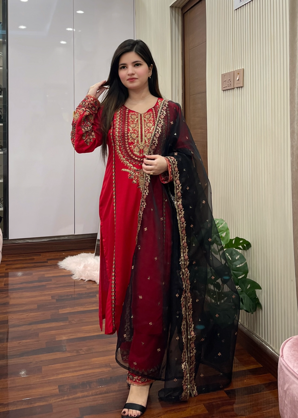 Shefoze Clothing rooha Women 3pcs